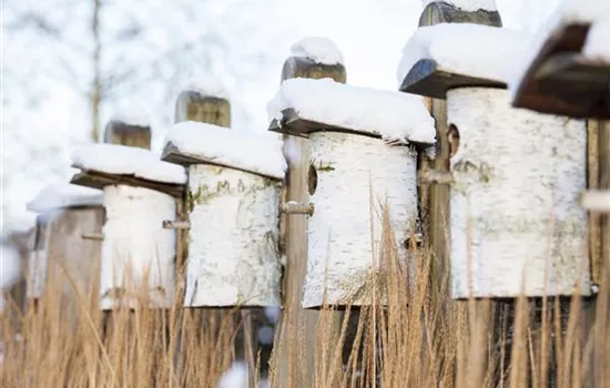 Vogelhäuser und -bäder