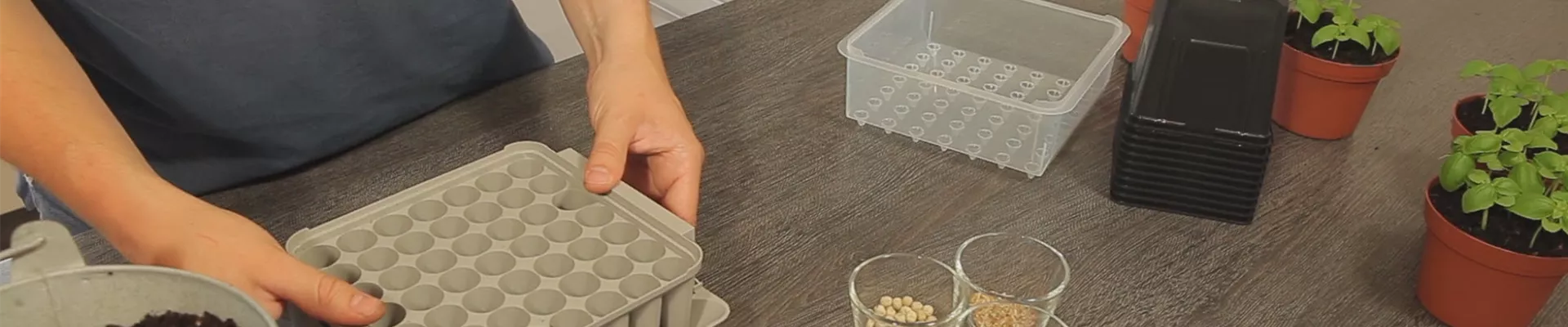 Tomaten - Aussäen von Samen (thumbnail).jpg Tomaten - Aussäen von Samen (thumbnail).jpg