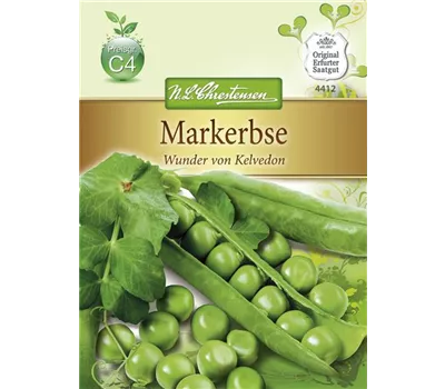 Erbsensamen 'Wunder von Kelvedon' Erbsensamen 'Wunder von Kelvedon'