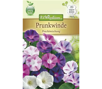 Prunkwindensamen 'Prachtmischung' Prunkwindensamen 'Prachtmischung'