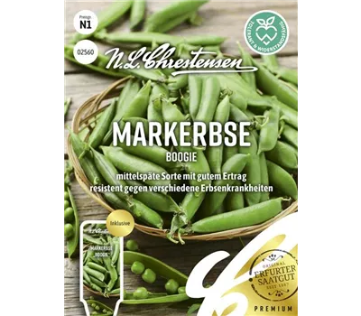 Erbsensamen 'Boogie' Erbsensamen 'Boogie'