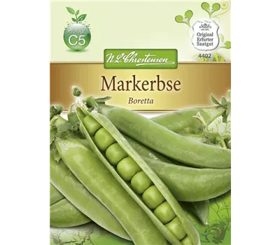 Erbsensamen 'Boretta' Erbsensamen 'Boretta'