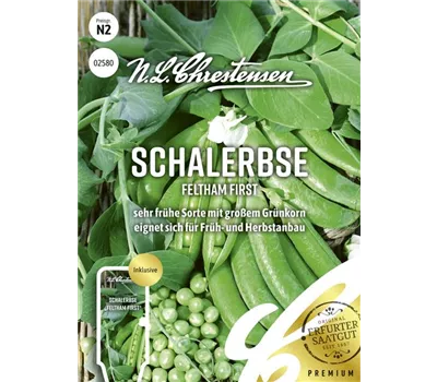 Erbsensamen 'Feltham First' Erbsensamen 'Feltham First'