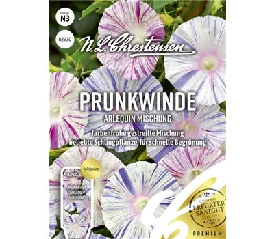 Prunkwindensamen 'Arlequin' Prunkwindensamen 'Arlequin'