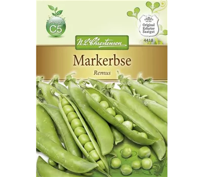 Erbsensamen 'Remus' Erbsensamen 'Remus'