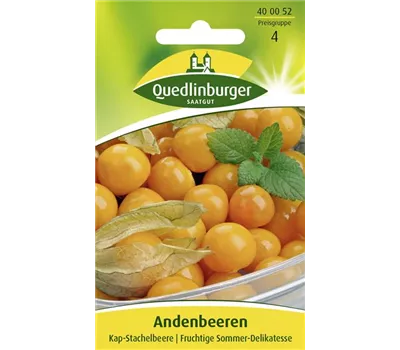 Andenbeerensamen Andenbeerensamen