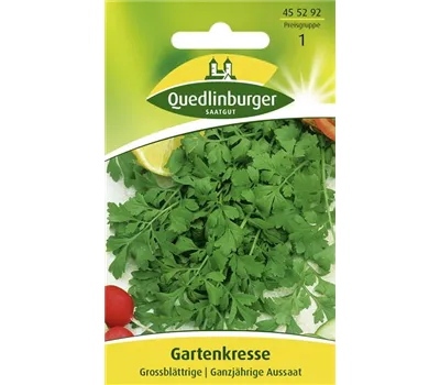 Gartenkressesamen 'Großblättrige' Gartenkressesamen 'Großblättrige'