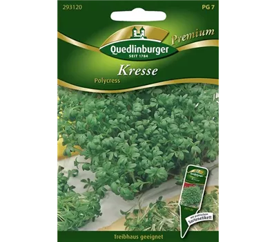 Gartenkressesamen 'Polycress' Gartenkressesamen 'Polycress'