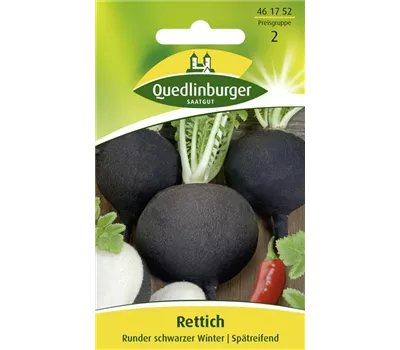 Rettichsamen 'Runder Schwarzer Winter' Rettichsamen 'Runder Schwarzer Winter'