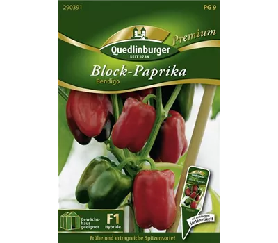 Paprikasamen 'Bendigo F1' Paprikasamen 'Bendigo F1'