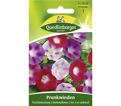 Prunkwindensamen 'Prachtmischung' Prunkwindensamen 'Prachtmischung'