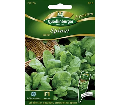 Spinatsamen 'Emilia' Spinatsamen 'Emilia'