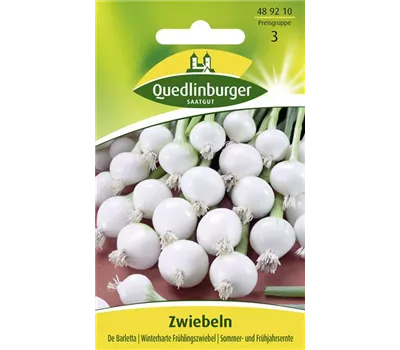 Zwiebelsamen 'De Barletta' Zwiebelsamen 'De Barletta'