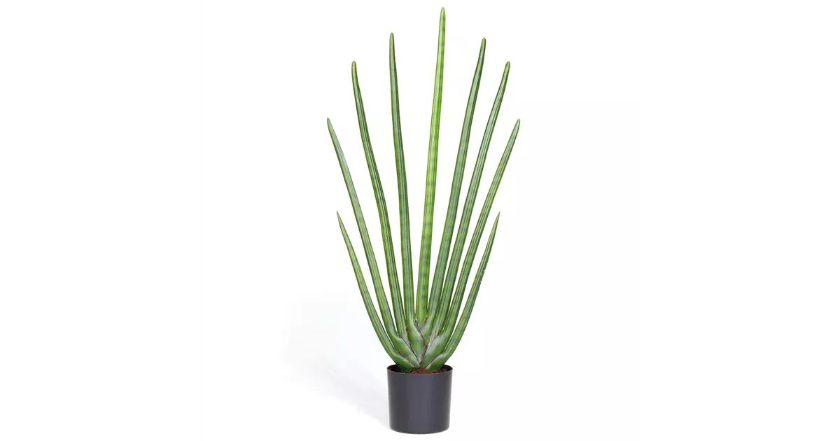fleur ami SANSEVIERIA CYLINDRICA Kunstpflanze