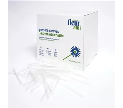 fleur ami GERBERA Abschnitte fleur ami GERBERA Abschnitte
