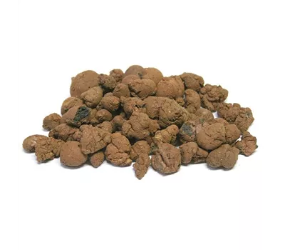 fleur ami Lamstedt-Ton (8-16 mm) fleur ami Lamstedt-Ton (8-16 mm)
