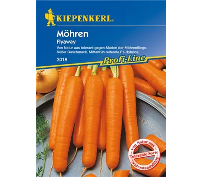 Möhre 'Flyaway F1' Möhre 'Flyaway F1'