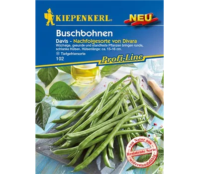 Buschbohne 'Davis' Buschbohne 'Davis'