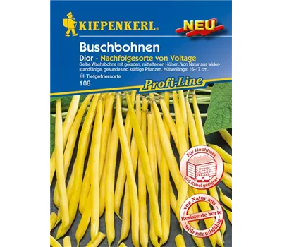 Buschbohne 'Dior' Buschbohne 'Dior'