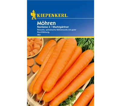 Möhre 'Nantaise 2' Möhre 'Nantaise 2'