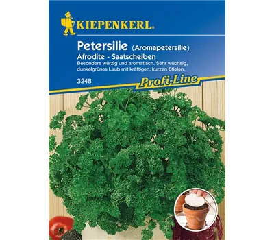 Krause Petersilie 'Aphrodite' Krause Petersilie 'Aphrodite'