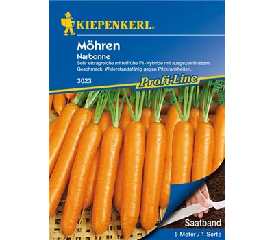 Möhre 'Narbonne' Möhre 'Narbonne'