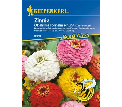 Garten-Zinnie 'Oklahoma-Formelmix' Garten-Zinnie 'Oklahoma-Formelmix'