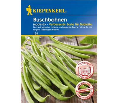 Buschbohne 'Modesto' Buschbohne 'Modesto'