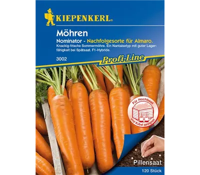 Möhre 'Nominator' Möhre 'Nominator'