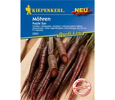 Möhre 'Purple Sun' Möhre 'Purple Sun'