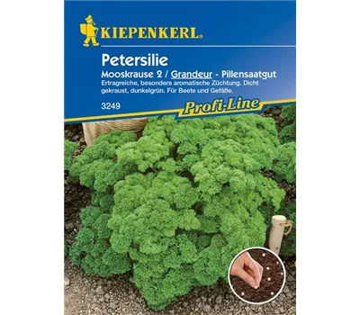 Krause Petersilie 'Grandeur' Krause Petersilie 'Grandeur'
