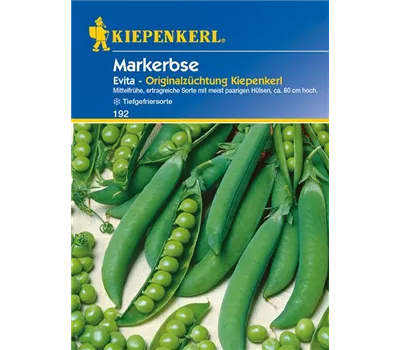 Markerbse 'Evita' Markerbse 'Evita'