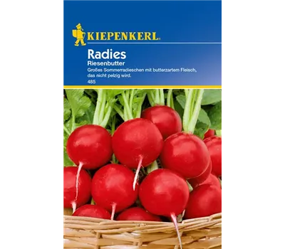 Radieschen 'Riesenbutter' Radieschen 'Riesenbutter'