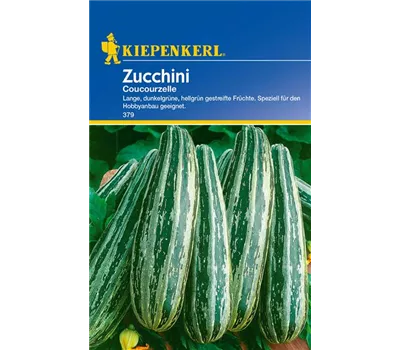 Zucchini 'Coucourzelle' Zucchini 'Coucourzelle'