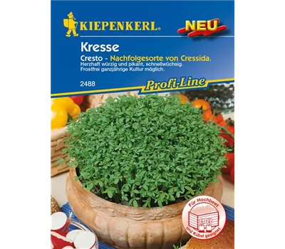 Gartenkresse 'Cresto' Gartenkresse 'Cresto'