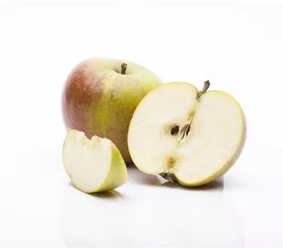 Apfel Cox Orangenrenette Apfel Cox Orangenrenette