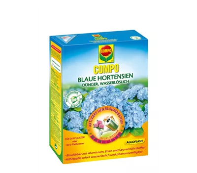 Compo Blaue Hortensien Compo Blaue Hortensien