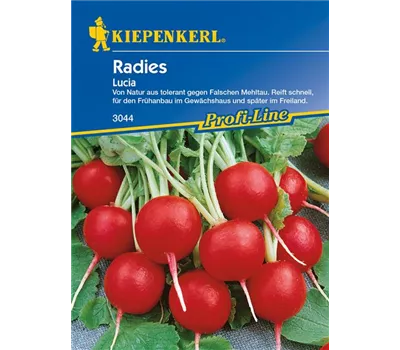 Radieschen 'Lucia' Radieschen 'Lucia'