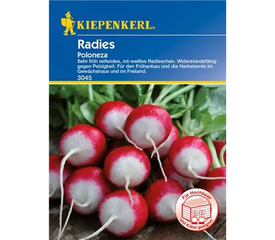 Radieschen 'Poloneza' Radieschen 'Poloneza'