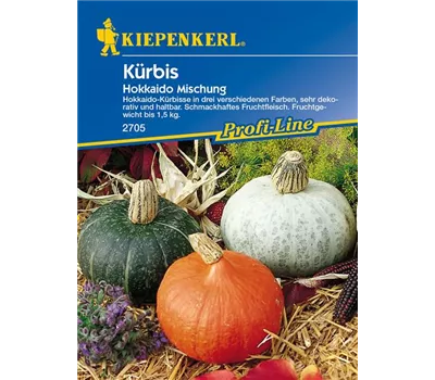 Kürbis 'Hokkaido' Kürbis 'Hokkaido'