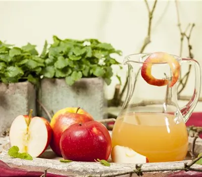 Apfel Jonagold Apfel Jonagold
