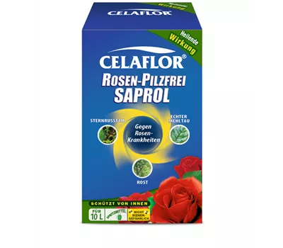 Celaflor Rosen-Pilzfrei Saprol Konzentrat Celaflor Rosen-Pilzfrei Saprol Konzentrat
