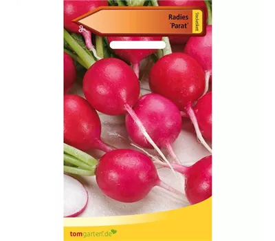 Radieschen 'Parat' Radieschen 'Parat'