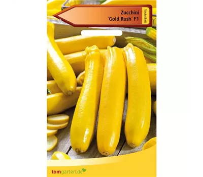 Zucchini 'Gold Rush F1' Zucchini 'Gold Rush F1'