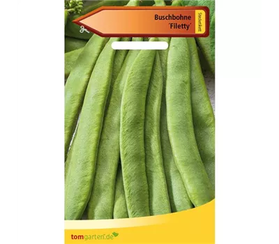 Buschbohne 'Filetty' Buschbohne 'Filetty'