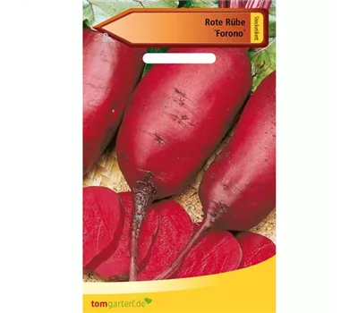 Rote Rübe 'Forono' Rote Rübe 'Forono'