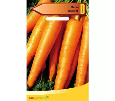 Möhre 'Juwarot' Möhre 'Juwarot'
