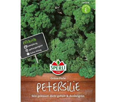Krause Petersilie 'Grüne Perle' Krause Petersilie 'Grüne Perle'