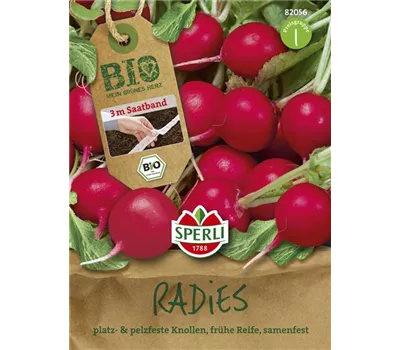 Radieschen 'Rudolf'