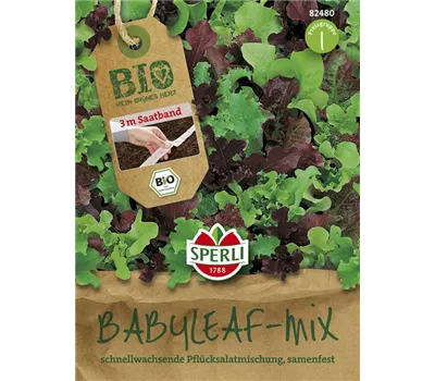 Babyleaf-Salat Babyleaf-Salat